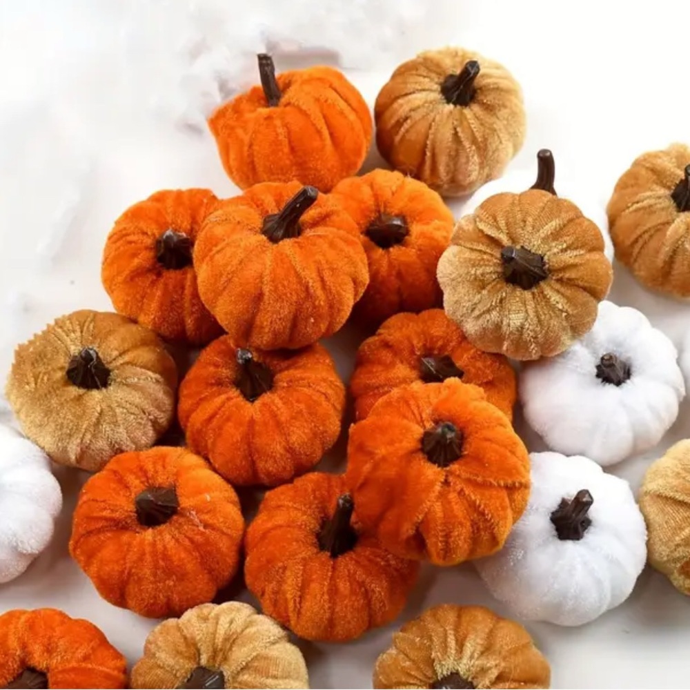 PICK A PUMPKIN!
